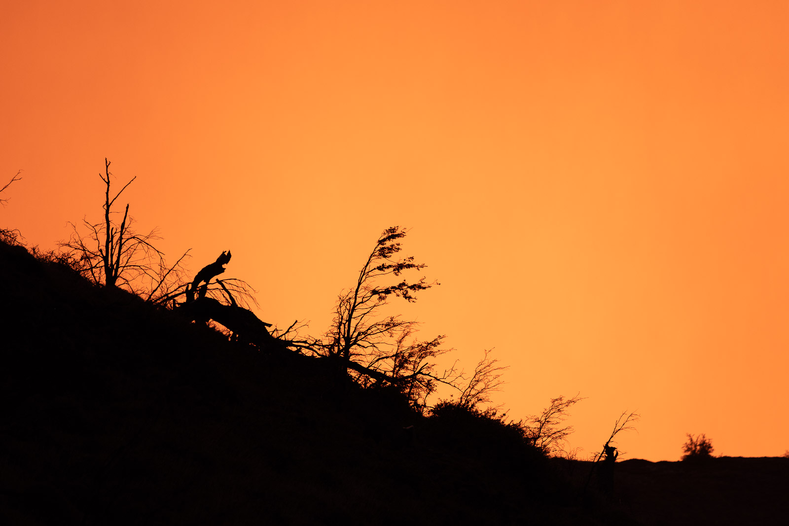 Patagonien Torres del Paine Sonnenaufgang