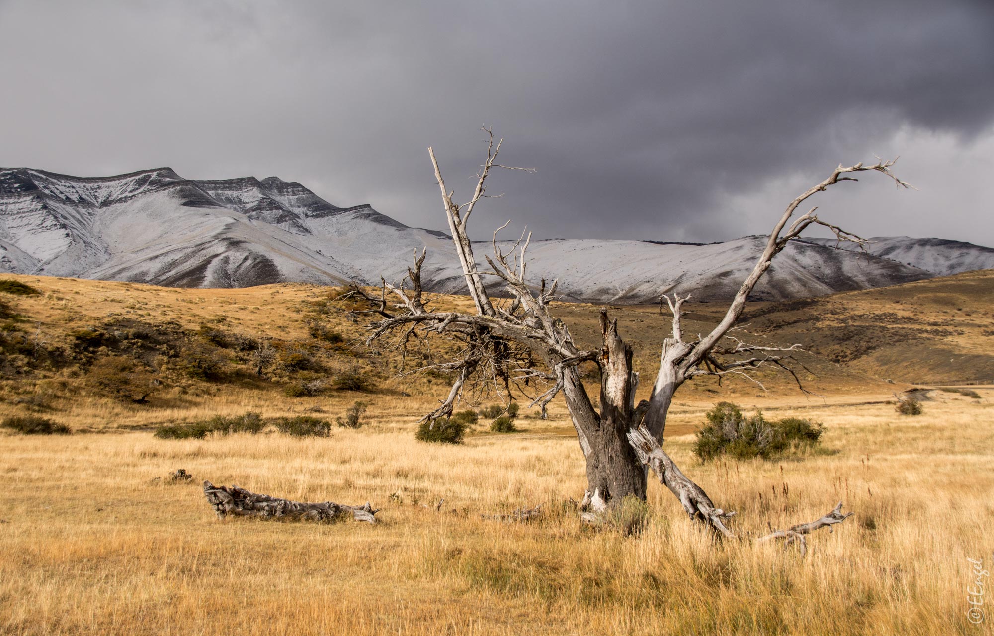 Licht & Schatten in der patagonischen Steppe