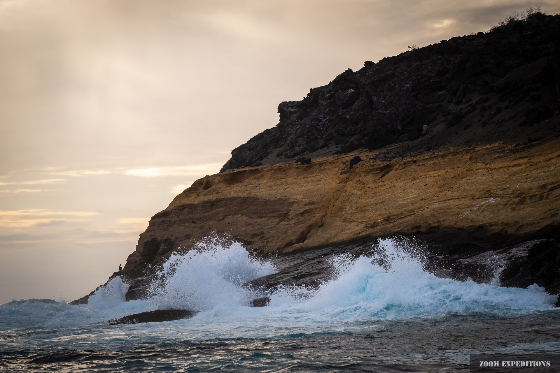 Isabela Galapagos Seascape