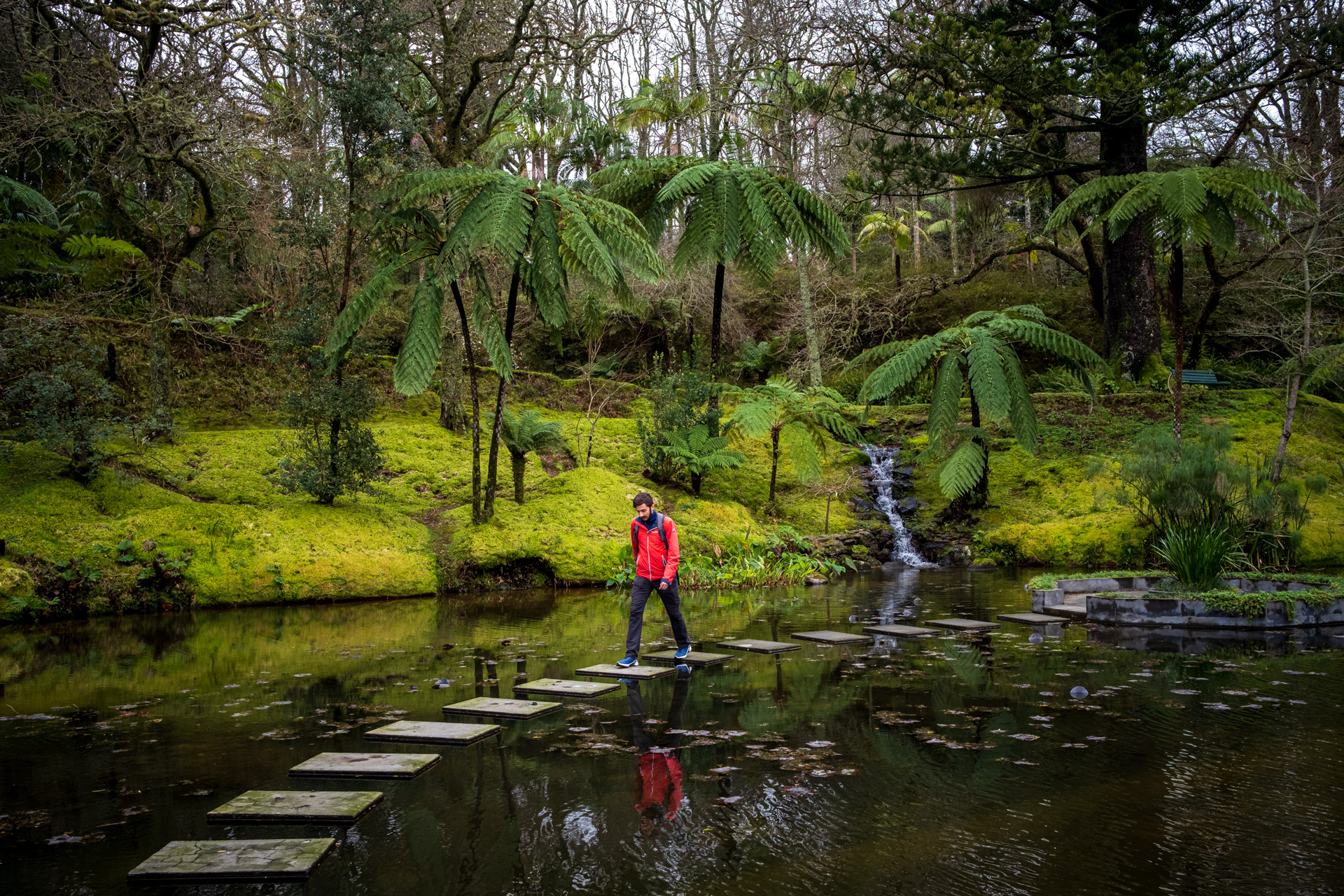 Botanischer Garten auf São Miguel