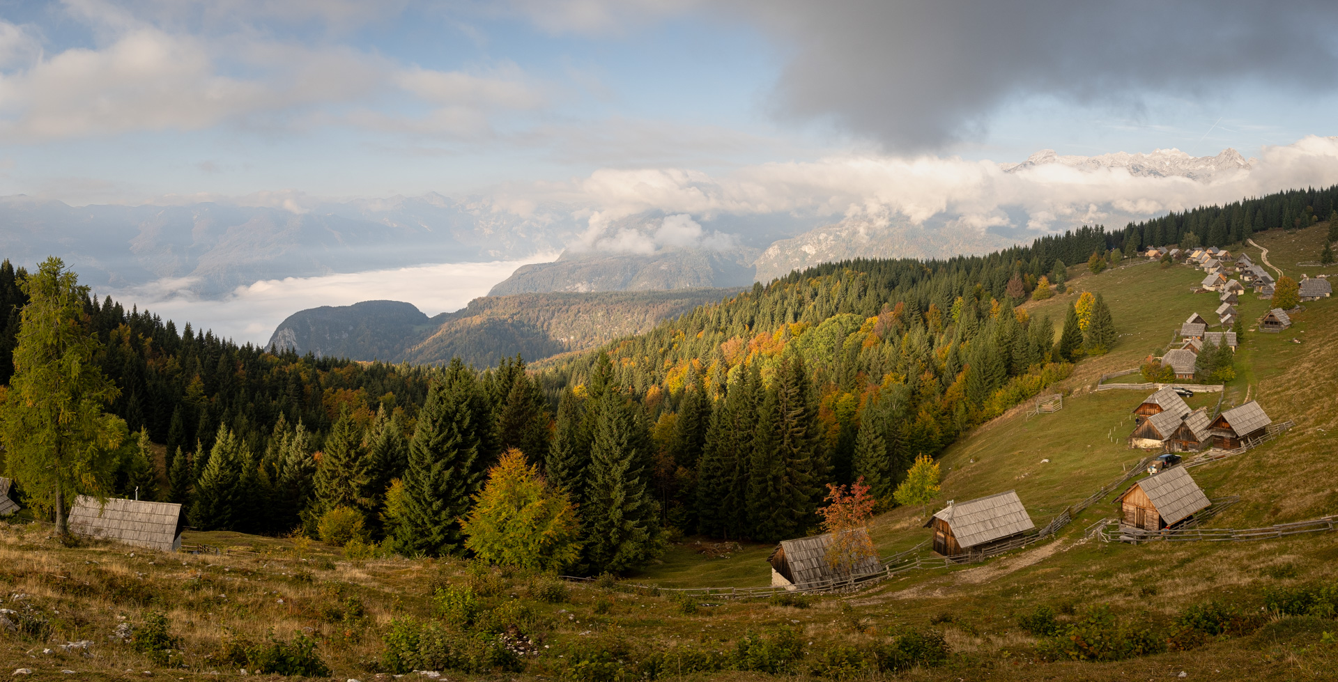 Pokljuka Panorama