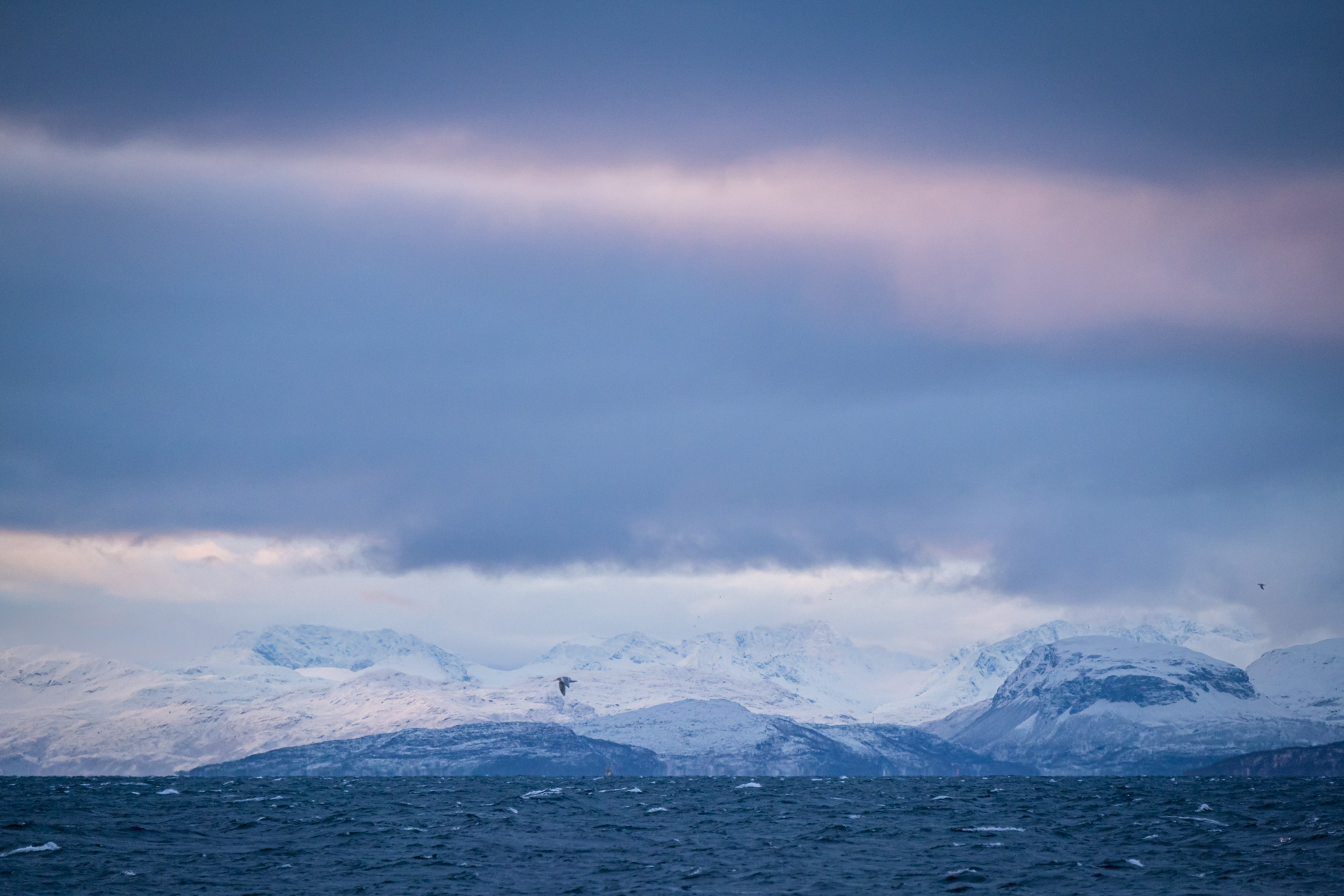 Fantastische Lichtstimmung in den Fjorden Nordnorwegens.