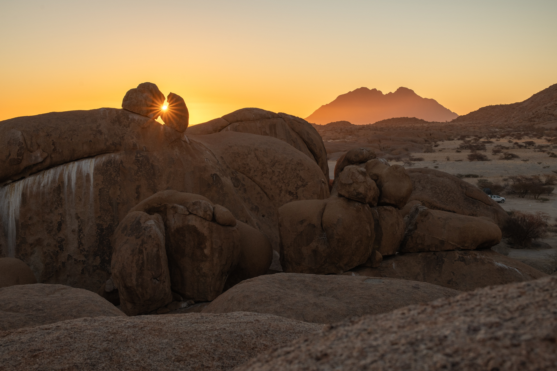 Sonnenstern an der Spitzkoppe.