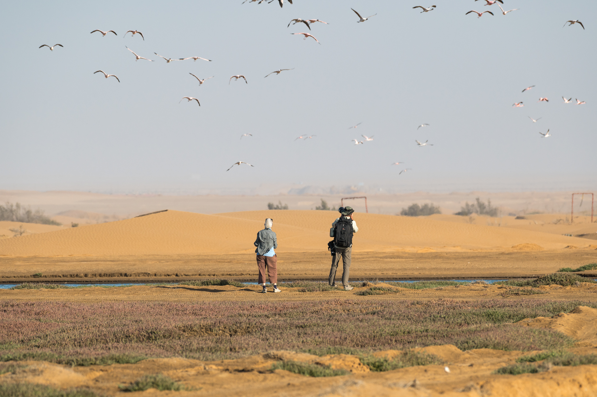 Flamingos in Namibia mit Teilnehmern.