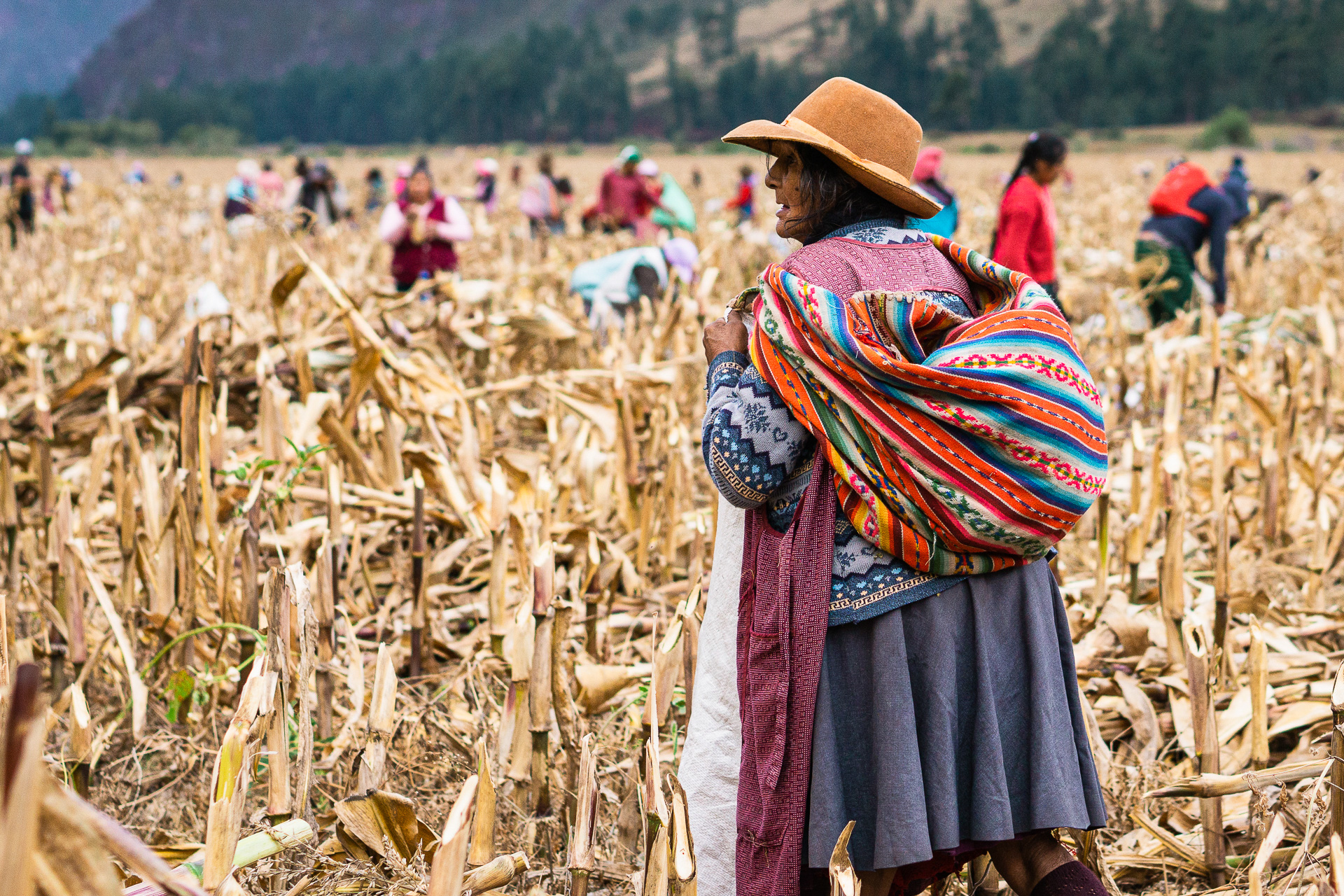 Porträt einer Indigena in Peru bei der Feldarbeit von Frank Niedertubbesing.