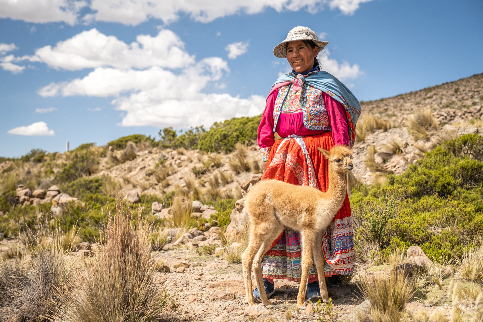 Aymara Frau mit Vicuña Baby.