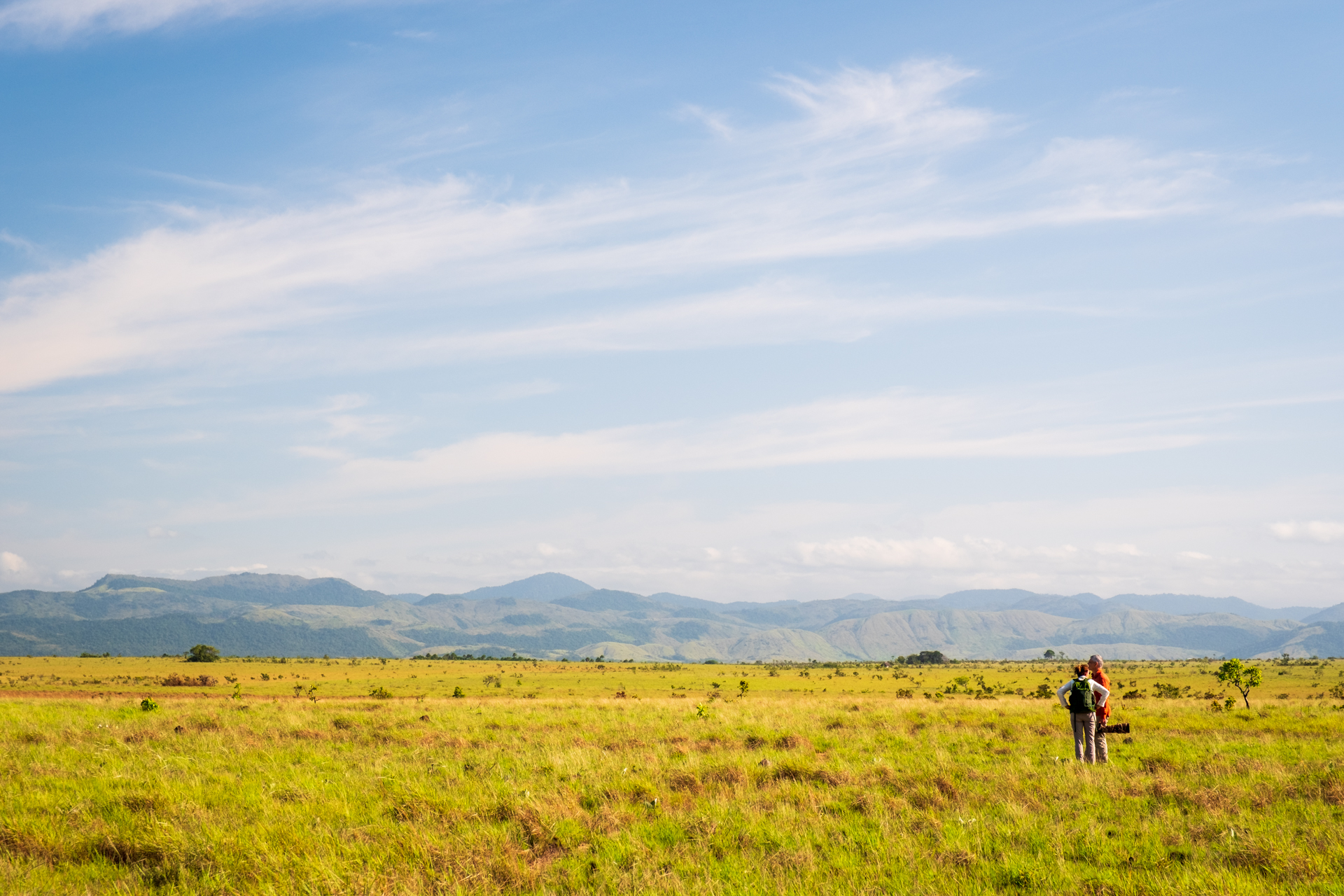 In the savannah of Guyana.