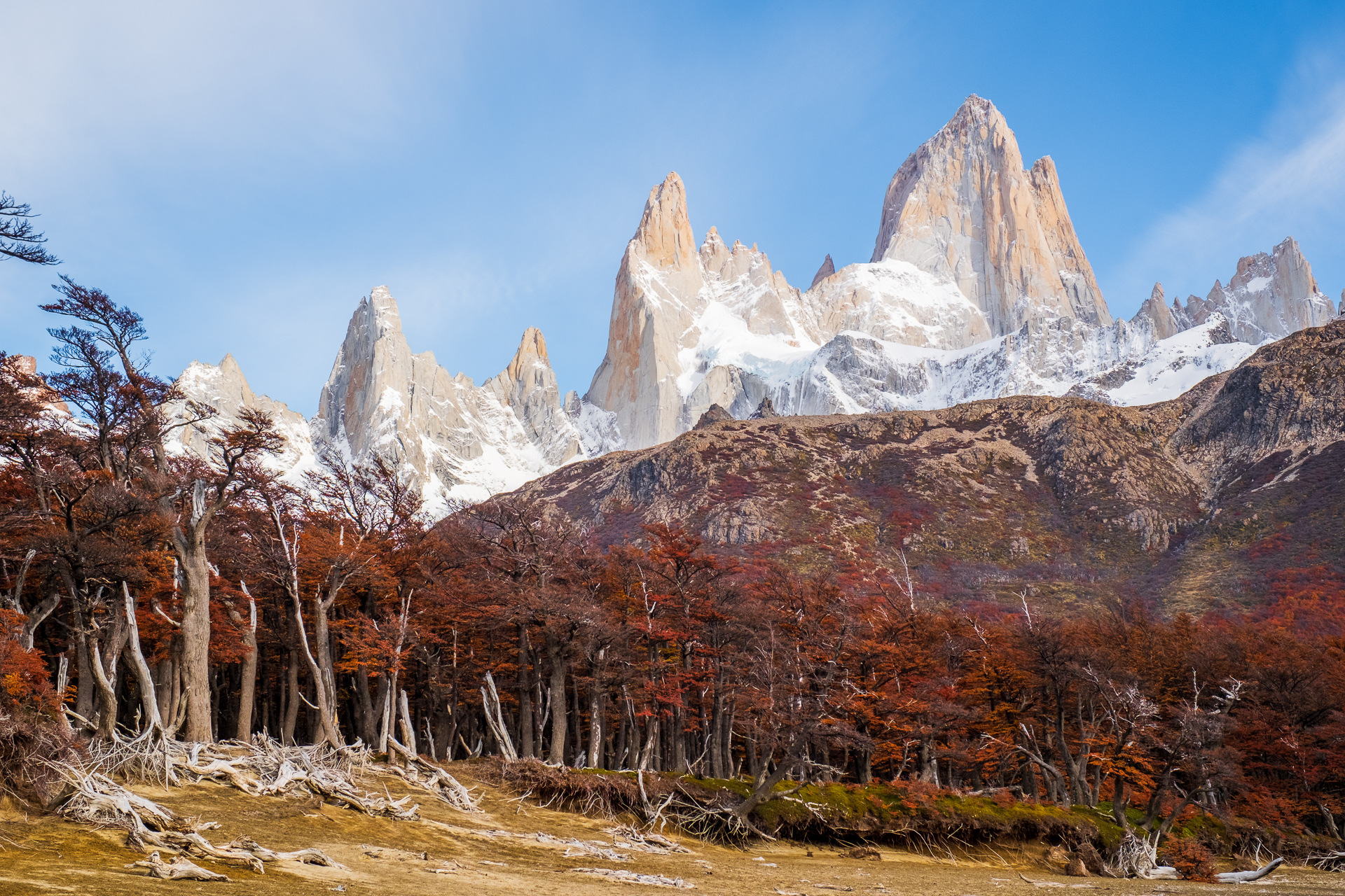 Fitz Roy mountain range and fall foliage.