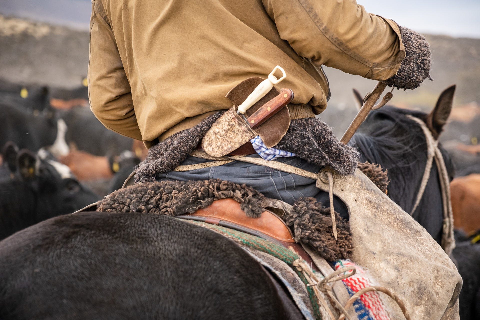 Gaucho tools - Torres del Paine