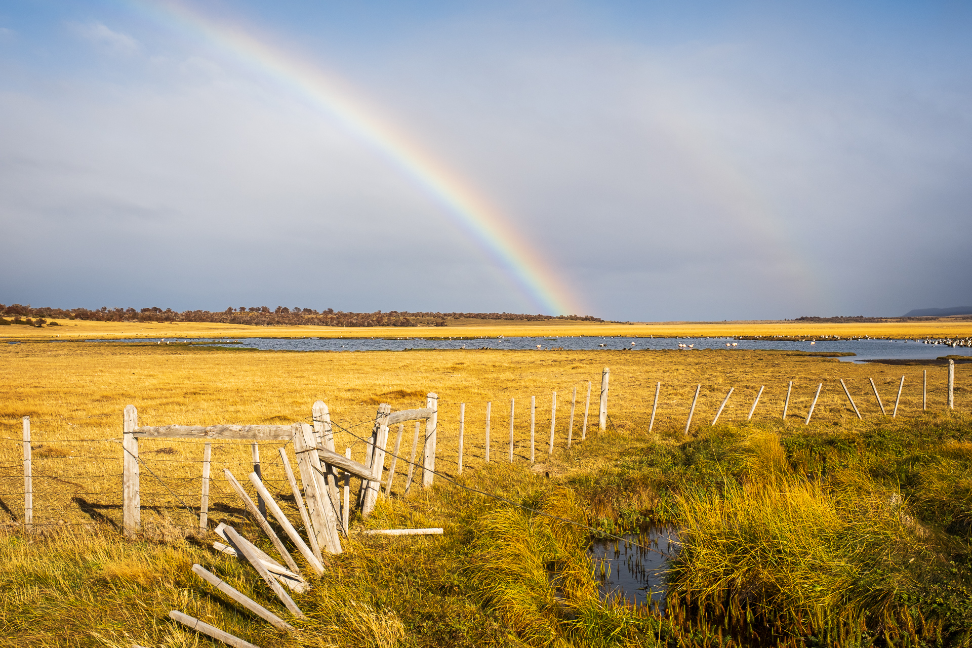 Rainbow over Flamingo Lagoon in Chilean Patagonia.