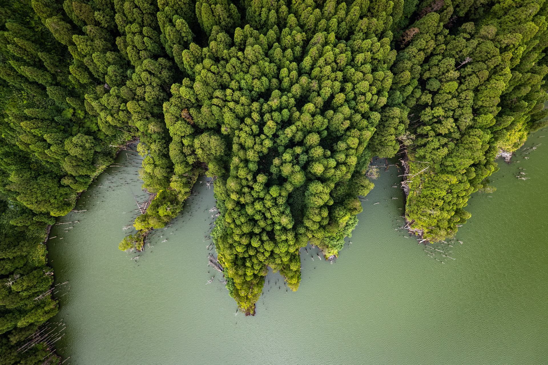 Die Caldeira Funda auf der Azoren Insel Flores.