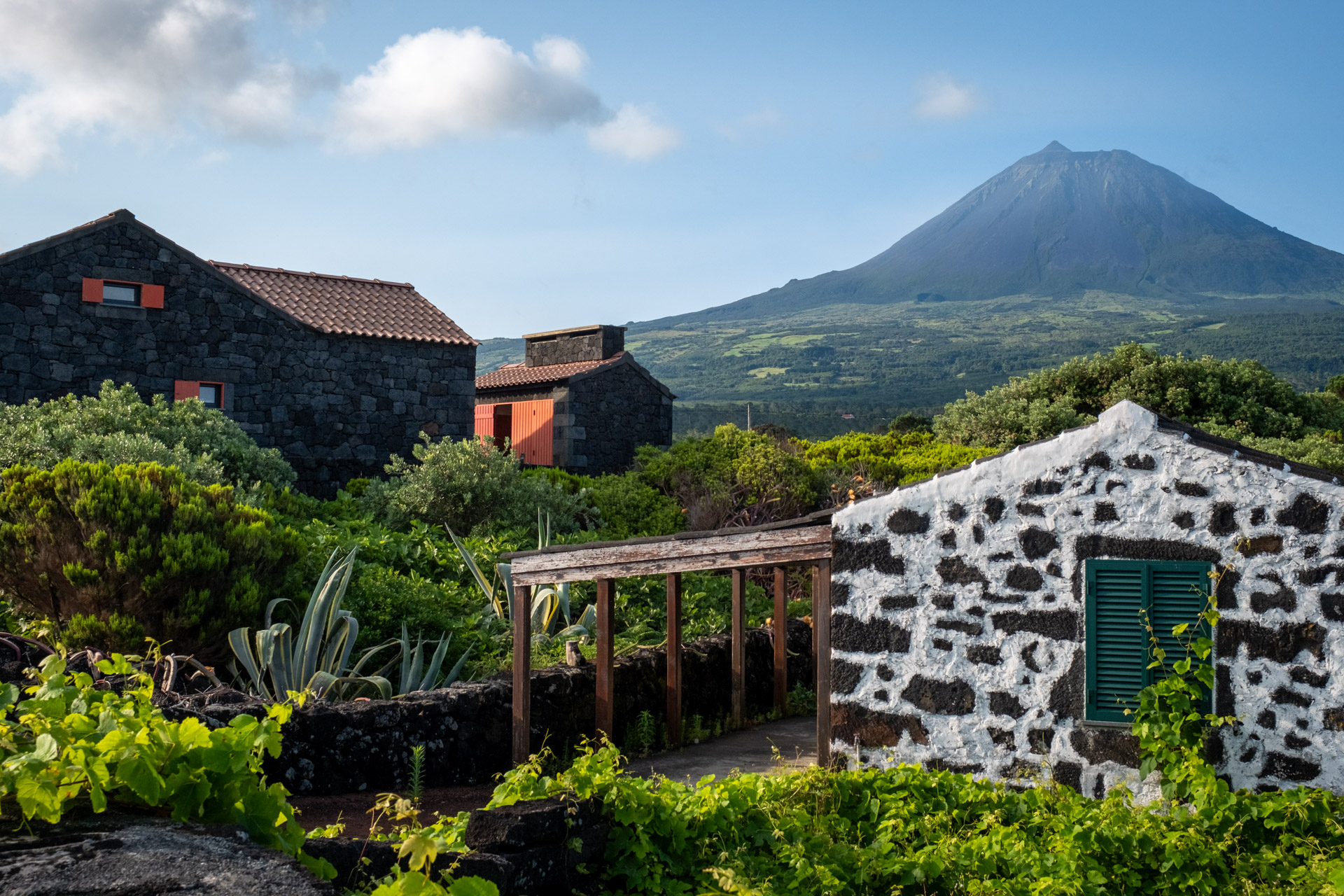 Häuser in Lajes do Pico.