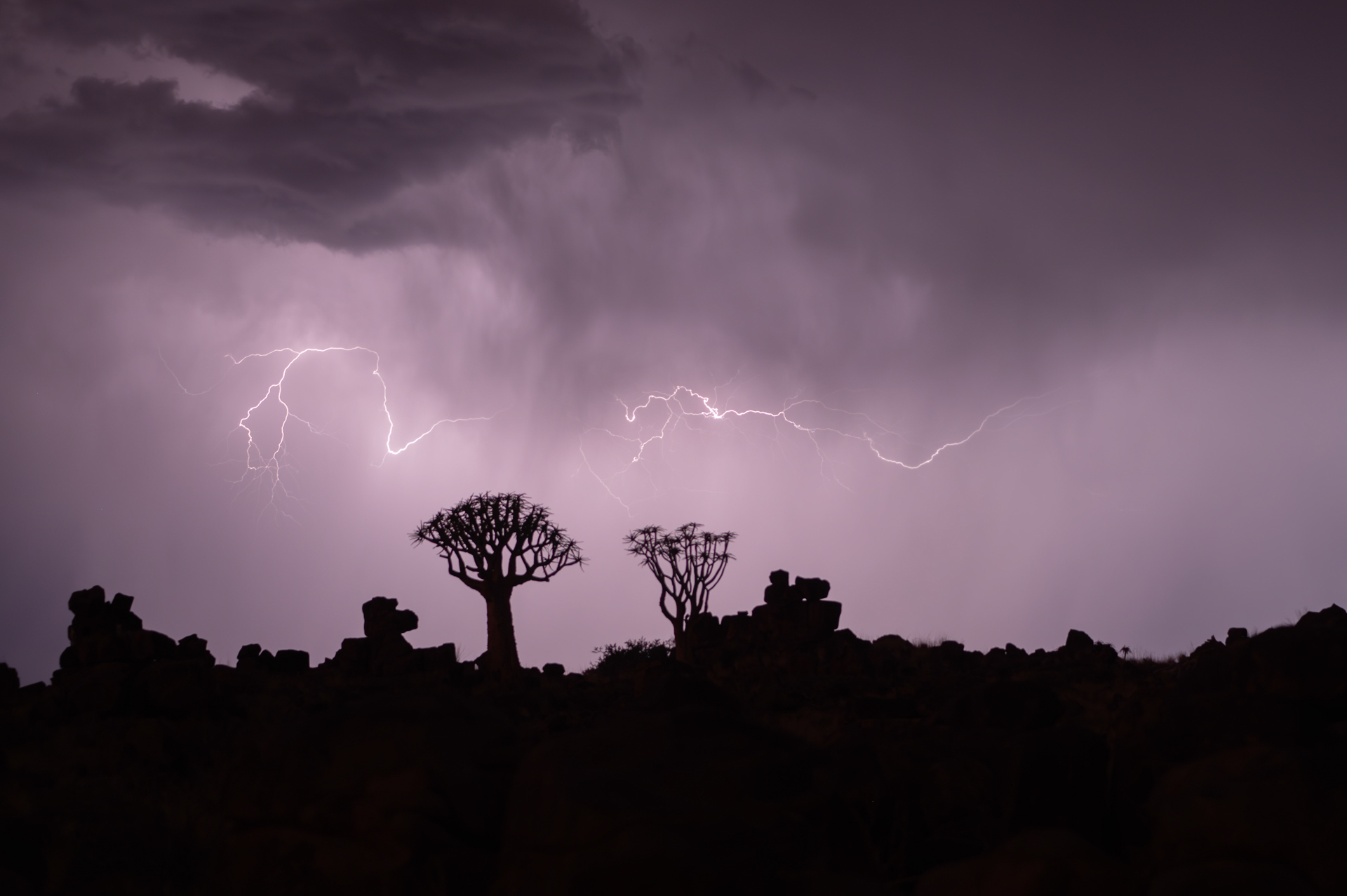 Gewitter über Köcherbäumen - Foto von Dirk Steuerwald