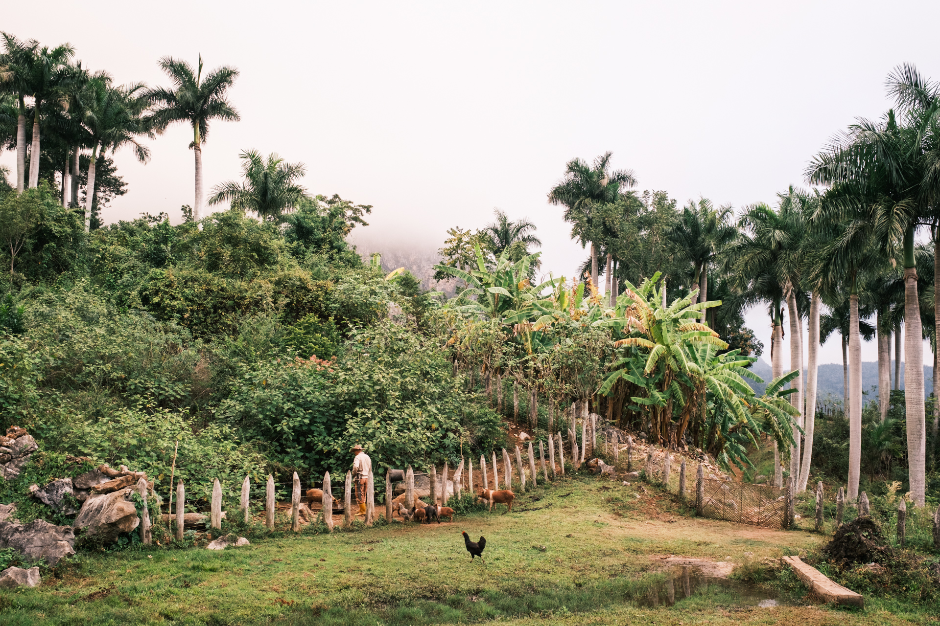 Landleben bei Viñales.