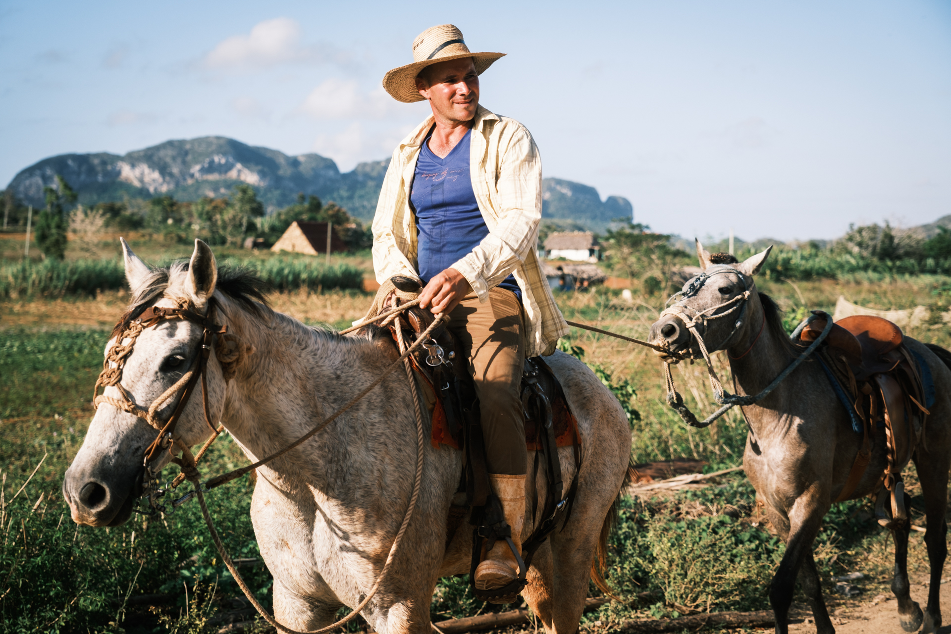 Cowboy mit Pferden in Viñales.