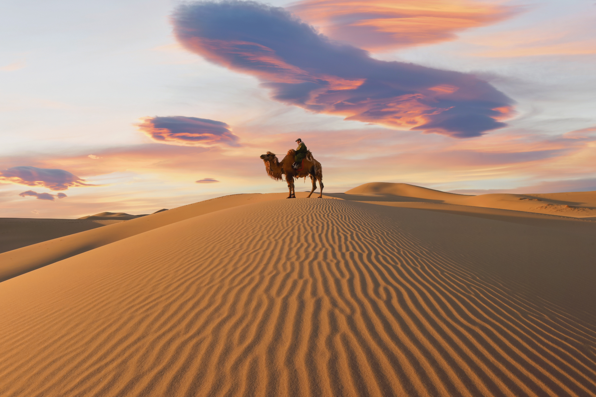 Ein Kamel mit Reiter auf einer Sanddüne in der Wüste Gobi.