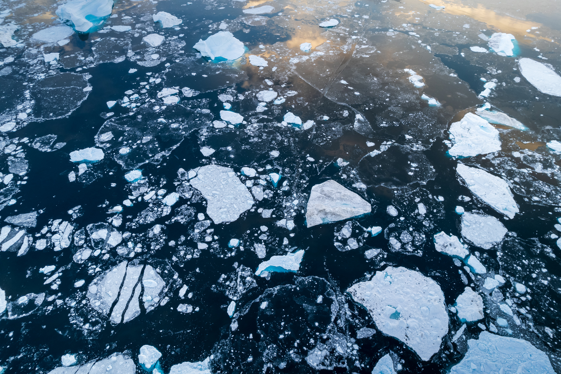 Sea ice floating in Rødefjord.