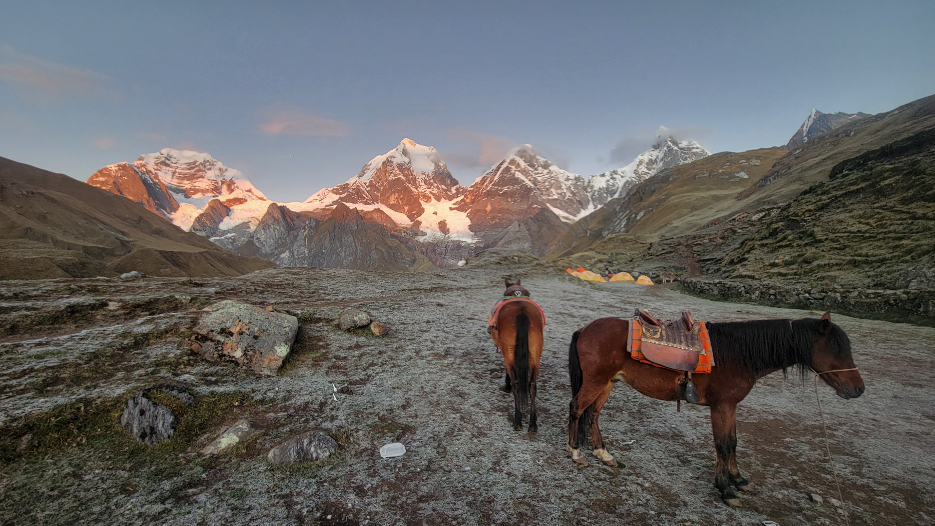 Cordillera Blanca + Pferde
