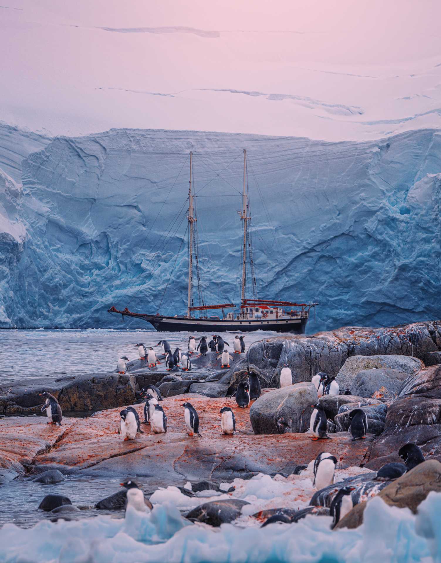 Pinguine im Vordergrund, unser Schoner im Hintergrund vor einem Eisberg. © Kristina Makeeva