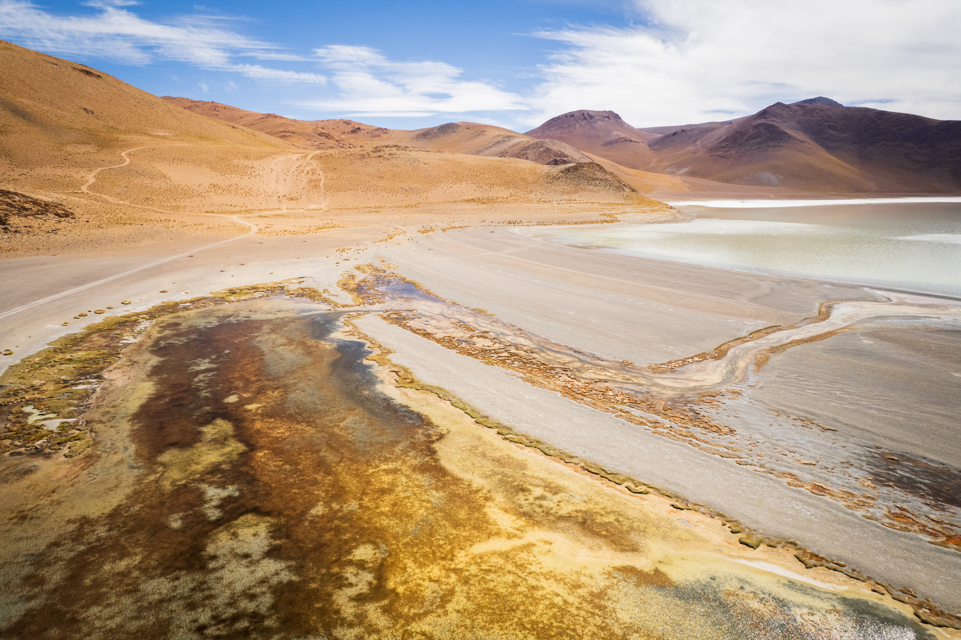Salzlagune in der argentinischen Puna mit hellen Mineralflächen, farbigen Uferzonen und kargen Vulkanbergen.