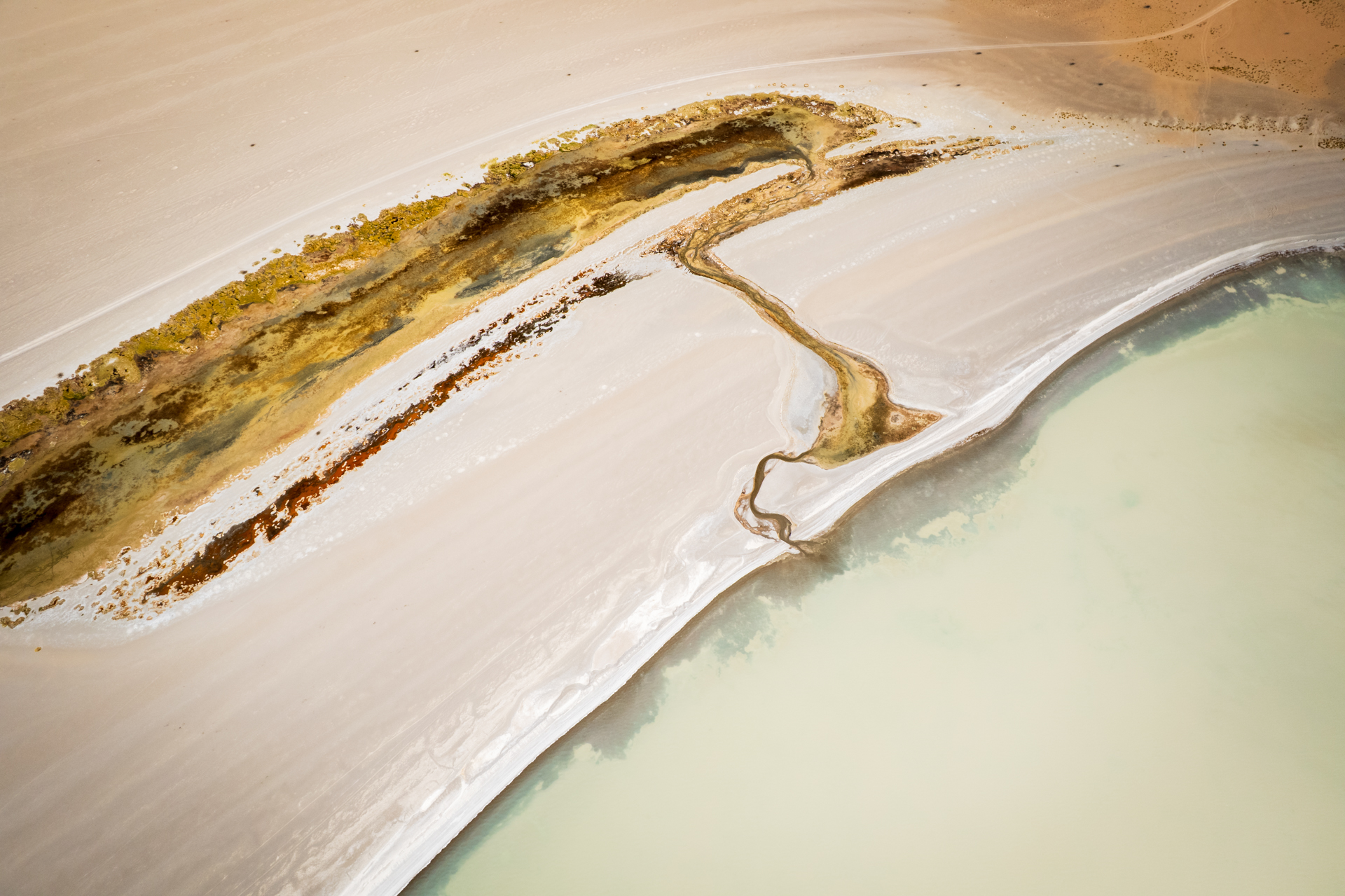 Abstrakte Uferlinie einer Salzlagune mit hellen Mineralflächen und farbigen Ablagerungen.