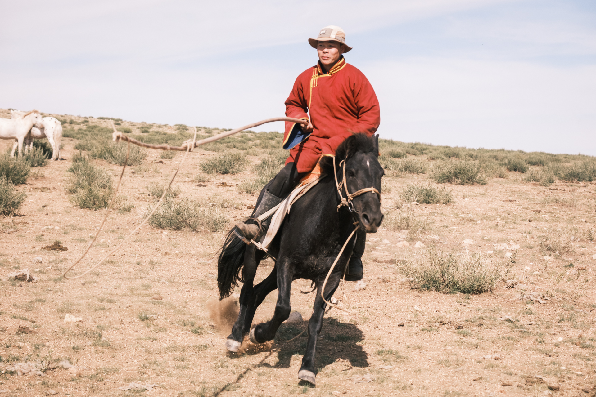 Horse Taming in the Gobi Desert.