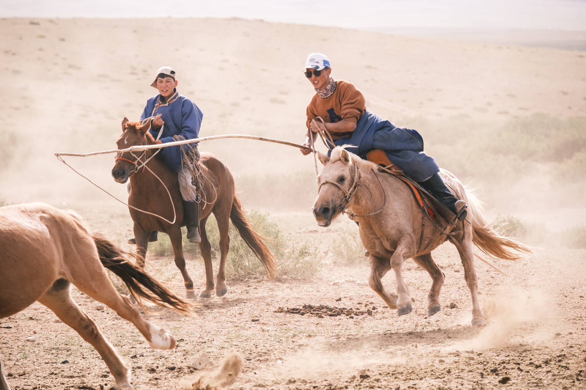 Nomads horse taming in the Gobi Desert. 