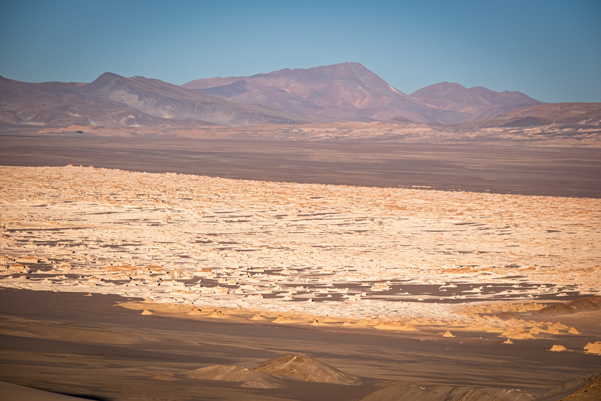 Weitblick über die hellen Bimssteinfelder von Campo de Piedra Pómez in der argentinischen Puna.