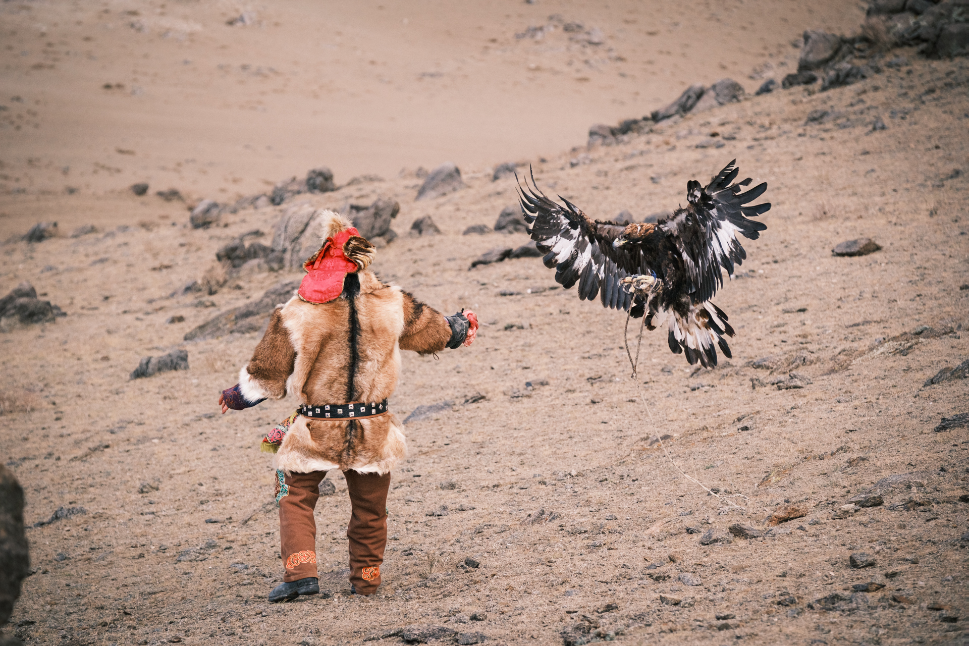 Eagle hunter training day.