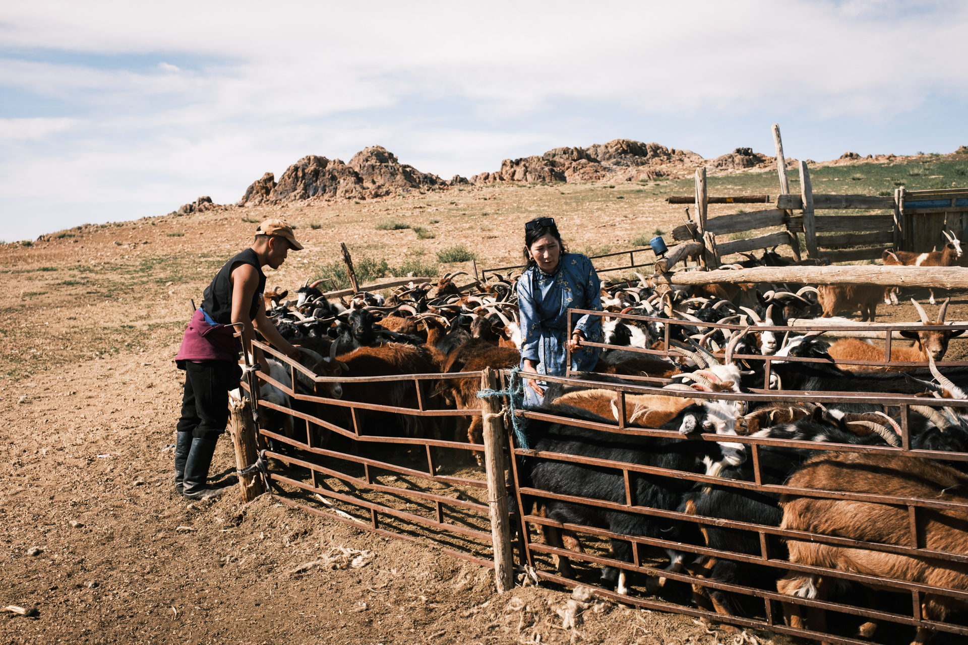 Gobi Nomads with their goats