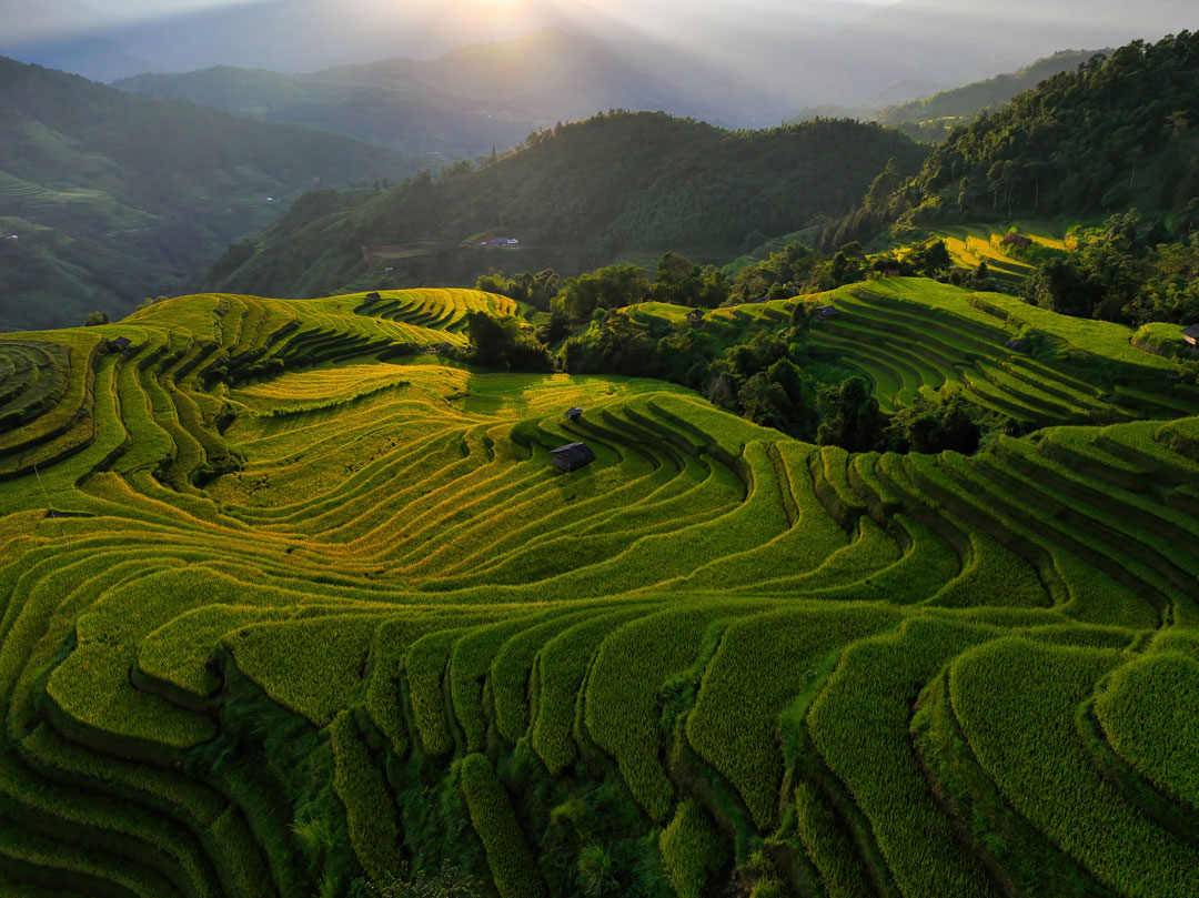 Hoang Su Phi Reisterrassen
