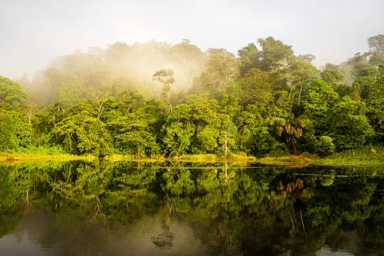 Maquenque Morning View