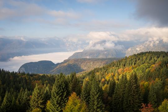 Pokljuka Hochplateau in Slowenien.