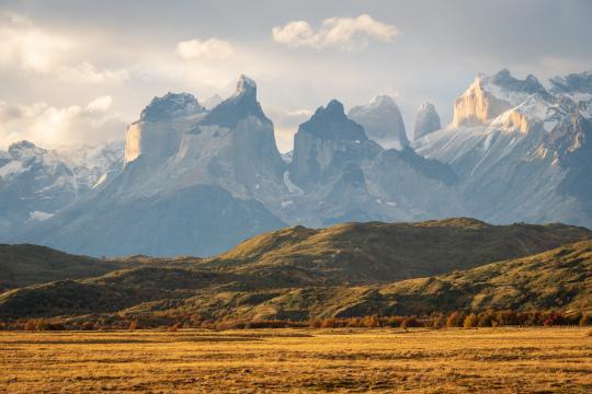 Cuernos Sonnenuntergang mit leuchtendem Pampasgras