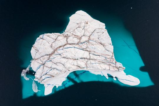 Fotoreise Scoresbysund - Ostgrönland 2026
