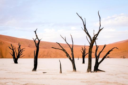 Fotoreise Namibia 2026